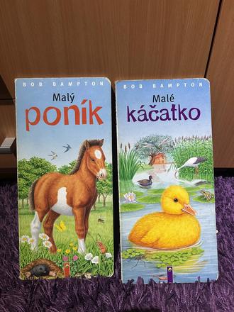 Sada 2 ks tvrdých knižiek,