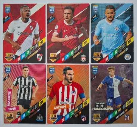 Futbalové karty fifa 365 (r.2024),
