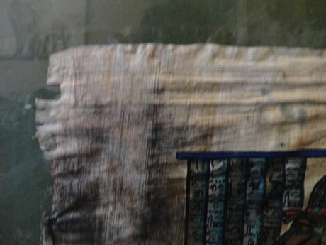 Egyptský papyrus - obraz, 