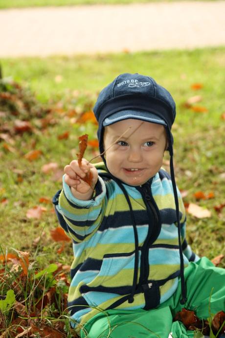 Ciapka moto gp, rockino,86