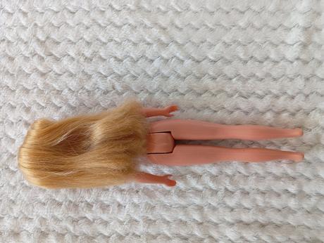 Barbie skipper raritná bábika,