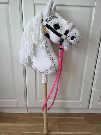 Hobby horsing,