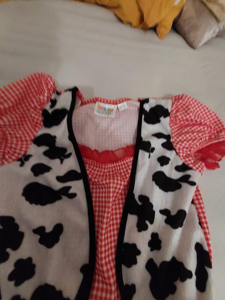 Karnevalové šaty s, 