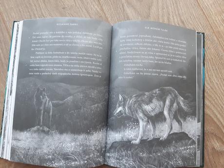 Kniha vlk menom tulák, 