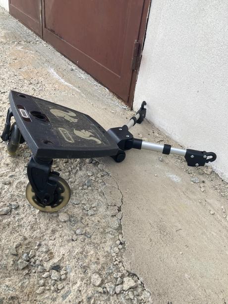 Kočík roan bloom, roan,roan bloom