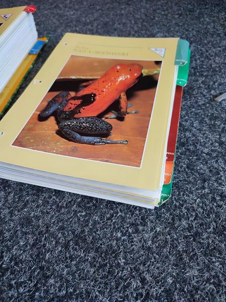 Encyklopédia zvierat, 