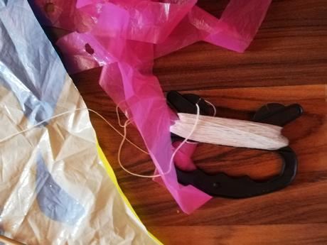 Šarkan s delfínom, 