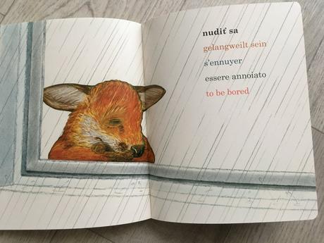 Nová viacjazyčná kniha, 