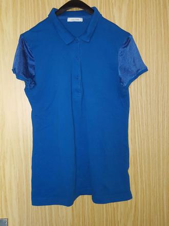 Polokosela modra calliope, l