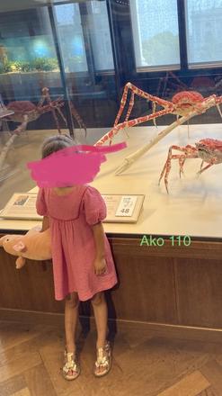 Letne saty zara, zara,110