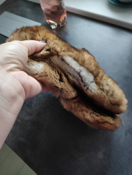 Ciapka panska kralik, l