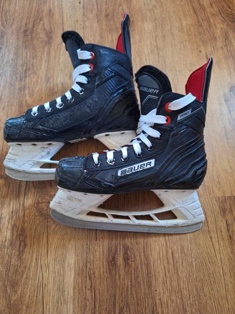 Korčule bauer, bauer,34