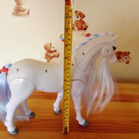 Pohybujúci sa koník,