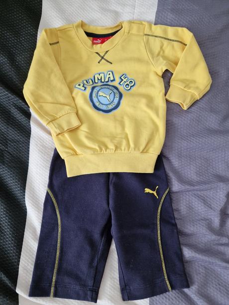 Suprava puma, puma,62