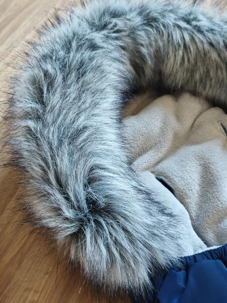 Fusak cottonmoose north yukon, 