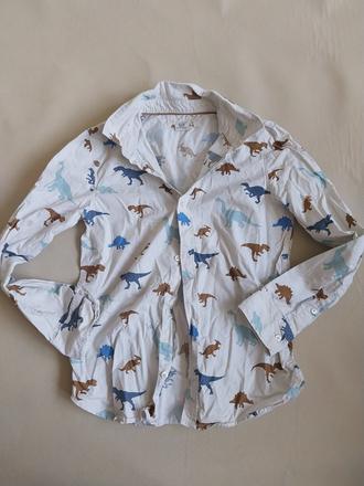 Kosela dinosaury, h&m,134