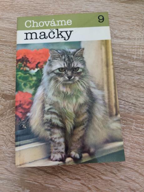 Chováme mačky - m. pálková,