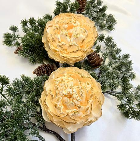 Zimná pivonka - kvet s kúzlom snehu a mrazu, 