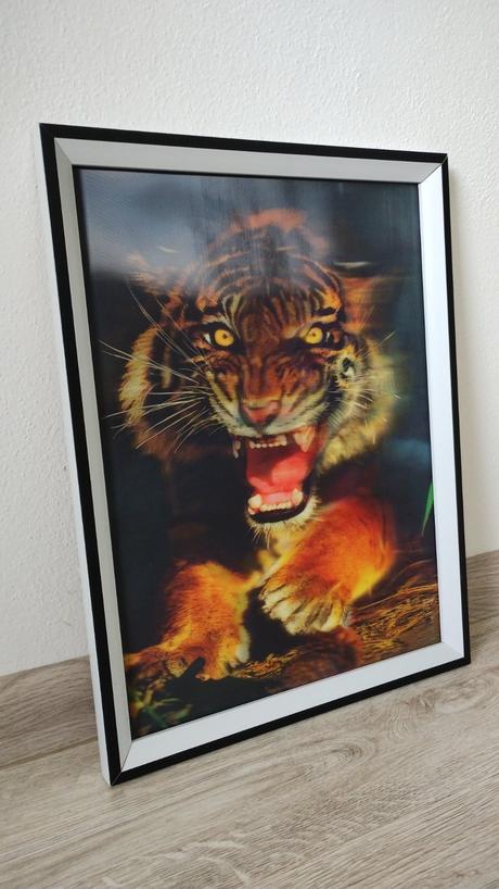 Pohyblivy obraz - tiger, 