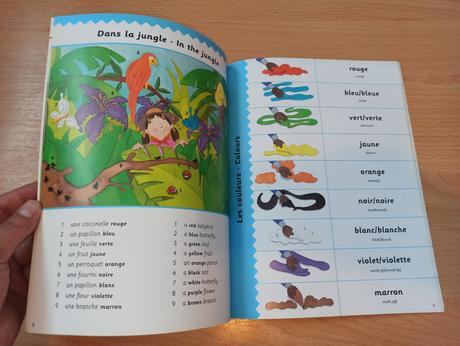 Hide and speak french s flapmi,