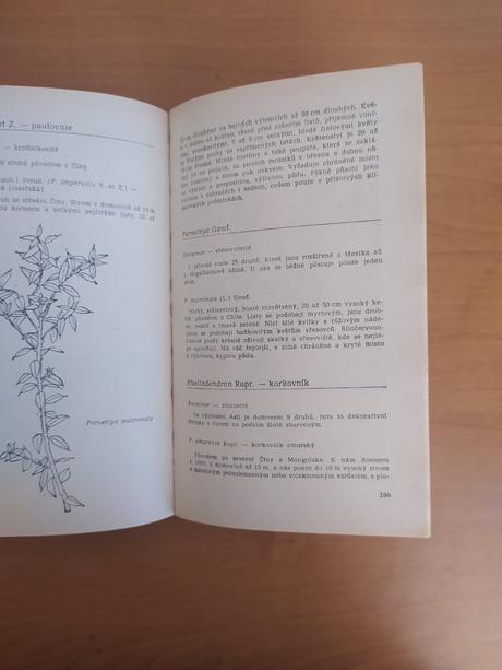 Stále zelené, opadavé a popínavé dreviny našich zá, 