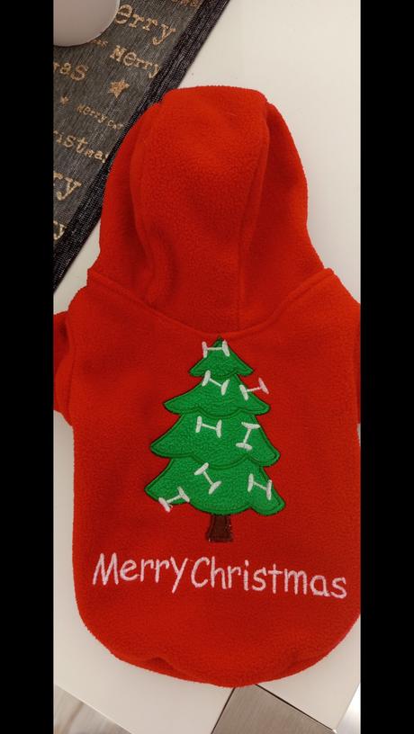 Vianočné obleckom pre čivavu, 1rok,