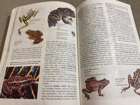 Retro stará krásna kniha svet živočíšnej ríše 1968,