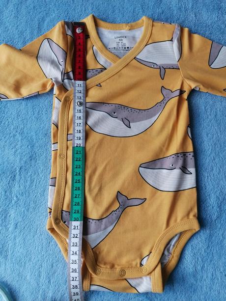 Body veľryby, lindex,62