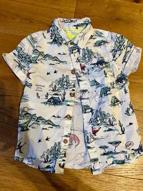 Košela s dinosaurami, f&f,104