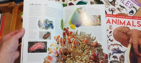 Universal knowledge library - animals and nature,