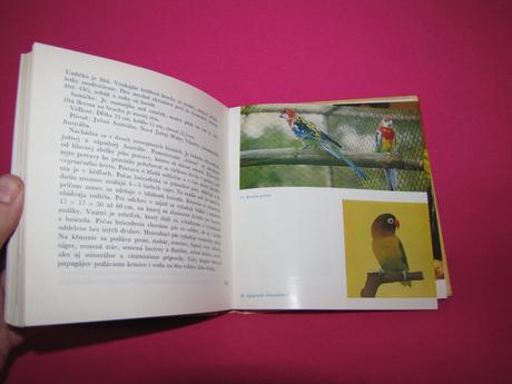 Chov exotického vtáctva, 