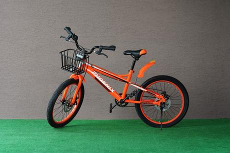 Detský bicykel 20'', 20