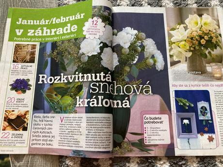 Časopisy záhrada 4ks,