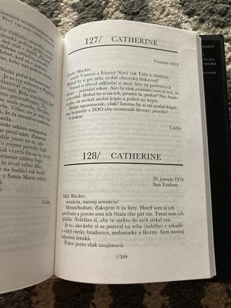 Panna a mučeníčka (1993), 