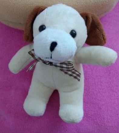 Psík, 2 rovnaké kusy, 