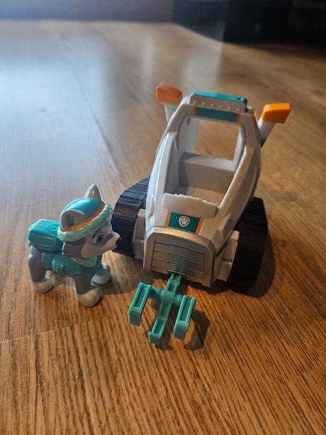 Labkova patrola - everest, 