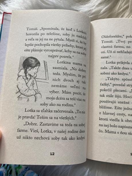 Lotka a vianoce so sobom holly webb,