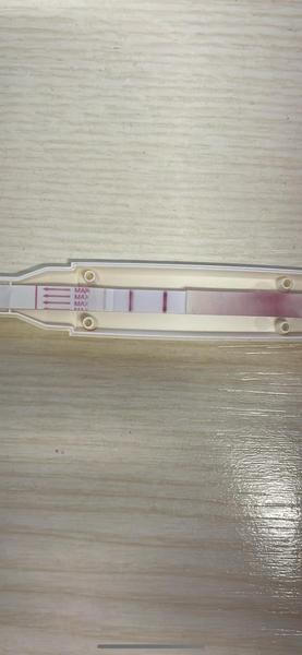 Je ovulácia skutočne 24 hodín po teste?