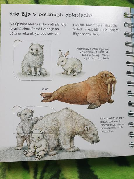 Môj prvý atlas zvierat - okienková knižka,