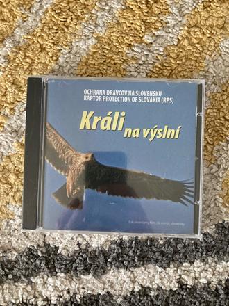 Dvd králi na výslní (2006), 