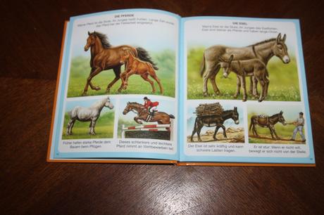 Dein buntes wörterbuch 5 ks, 