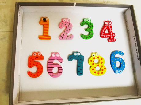 Ekolog.drevené magnetky na výučbu / 9 ks,