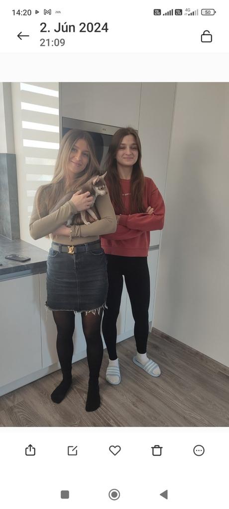 Sukňa, tally weijl,32