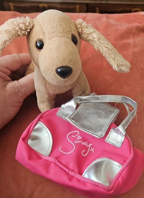 Psík cindy v kabelke, 