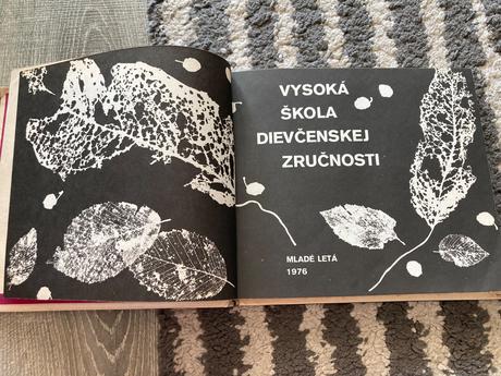 Vysoká škola dievčenskej zručnosti (1976),