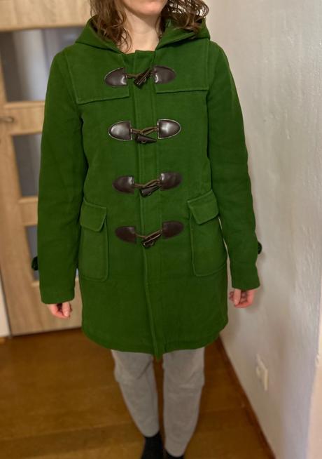 Zelený kabát, house,s