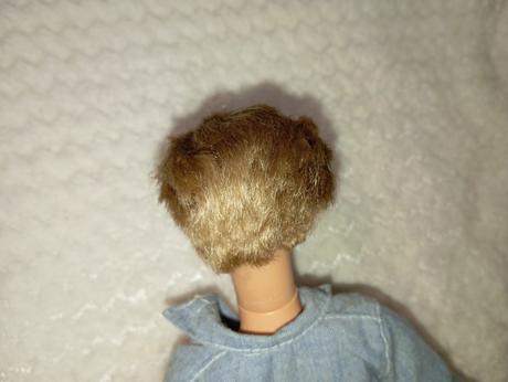 Barbie my scene chlapci ken, 