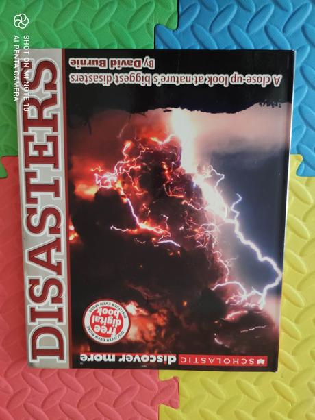 Disaster kniha top stav,