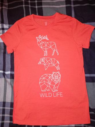 Merino tričko zajo, zajo,128