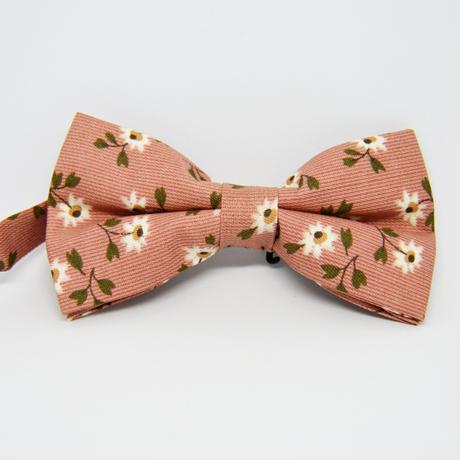 Jarný, pestrý , veľkonočný motýlik, 